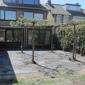 Tuin bestrating in Breda